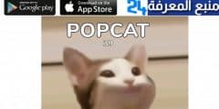 تحميل برنامج popcat hack لعبة بوب كات مهكرة 2022